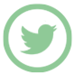 twitter T4i